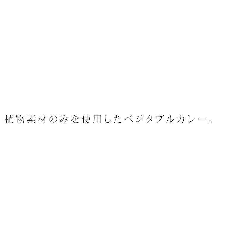 レトルトカレー 創健社 ベジタブルカレー（中辛）（レトルト） 210g 正規品  ナチュラル 天然 無添加 不要な食品添加物 化学調味料不使用 自然食品