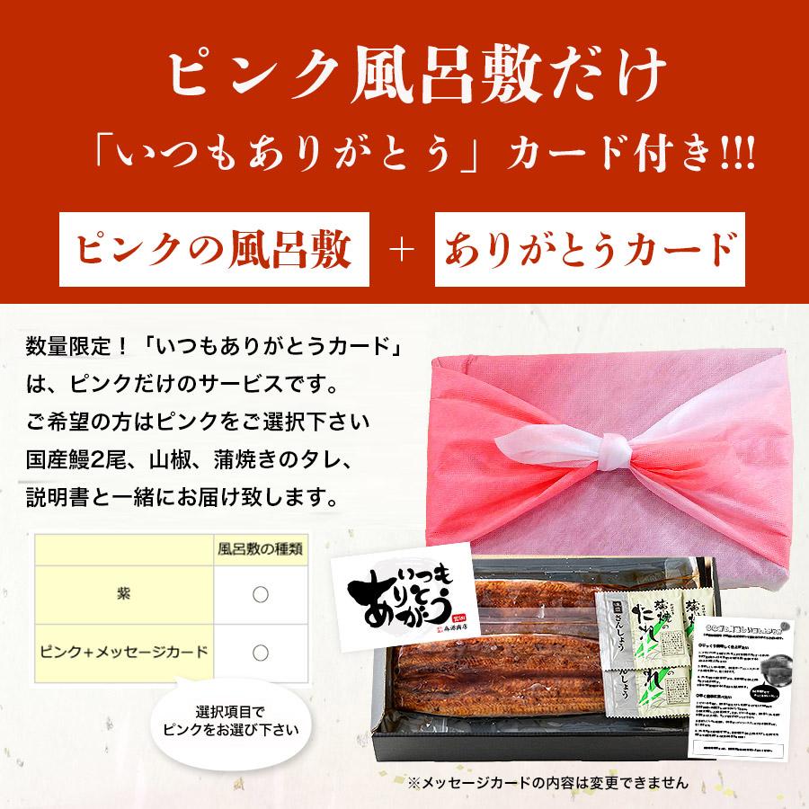 うなぎ 鰻 国産 うなぎ蒲焼き 2尾 約150g×2本 風呂敷包み 鹿児島県産 送料無料 冷凍便 プレゼント