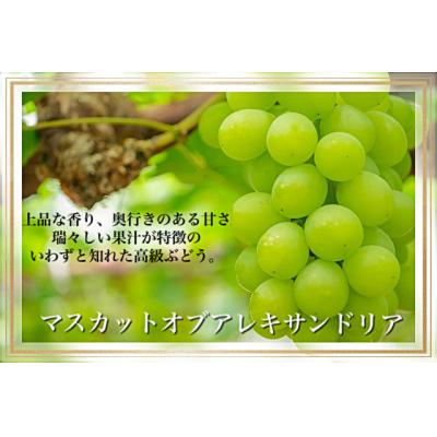 ふるさと納税 和気町 岡山県産　果物と新米の定期便　全3回コースC　Gg-2