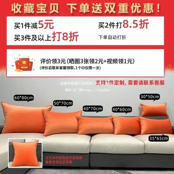 ll長方形天鵝絨客廳沙發靠枕大號靠背墊抱枕床頭腰枕枕套罩不含芯