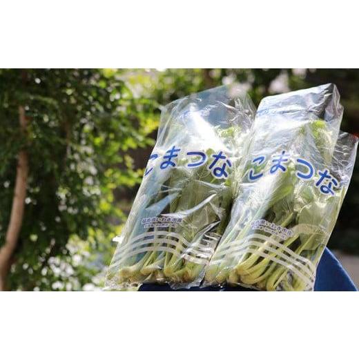 ふるさと納税 福島県 いわき市 いわき浜の野菜セット（いわき市産の野菜詰め合わせセット）