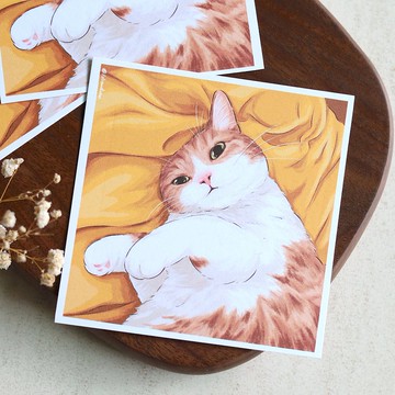 貓貓撒嬌中 正方形貓咪明信片 萬用卡 感謝卡 卡片 貓咪 橘貓