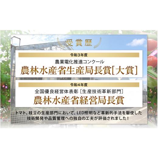 ふるさと納税 福井県 美浜町 [m37-a004] 福井県美浜町産　若狭のミディトマト『紅い鈴』合計約1.5kg（キューブ６個セット）【2024年6月上旬まで発…