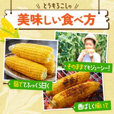 ふるさと納税 洞爺湖町 北海道産 朝採れ とうもろこし 恵味 めぐみ 2L 10〜12本 宮内農園 北海道 洞爺湖町