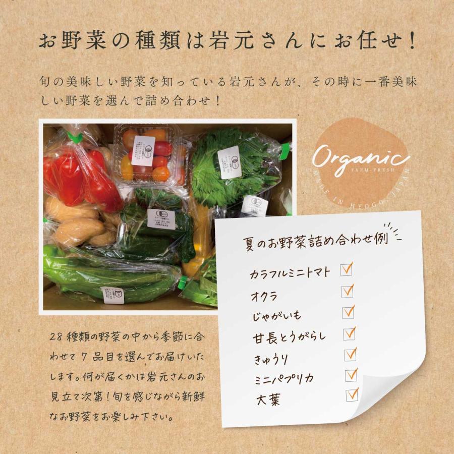 野菜セット 有機 詰め合わせ 7品目 兵庫県産  産地直送 クール便 国産 農家直送 有機野菜セット