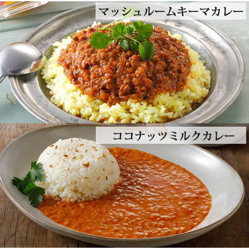 ヴィーガン界のトップシェフのレトルトカレー 2種セット 366vivi 大豆ミート グルテンフリー ソイミート ベジタリアン レトルト