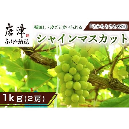 ふるさと納税 『予約受付』シャインマスカット1kg 2房 葡萄 ぶどう 果物 フルーツ スイーツ 佐賀県唐津市