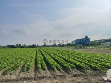 安定區/管寮庄頭邊/ 漂亮方正美農地｜台南市安定區管寮
