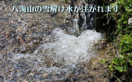 南魚沼産コシヒカリ　八富米　農薬7割減の特別栽培米　無洗米５ｋｇ×全１２回