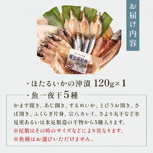 氷見 堀与 一夜干5種とほたるいかの沖漬 富山県 氷見市 干物 詰め合わせ 食べ比べ セット ホタルイカ