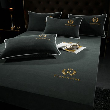 年新款冬季珊瑚絨床笠單件床罩床墊防塵保護罩水晶牛奶絨床套