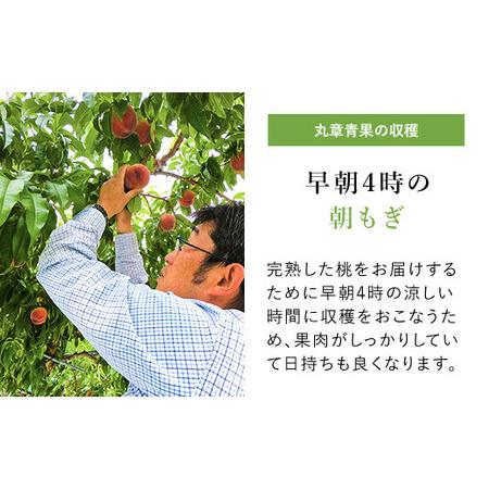 ふるさと納税 ＜2024年先行予約＞笛吹市産こだわりの桃 約2.0kg(4〜9玉) 常温 090-010 山梨県笛吹市