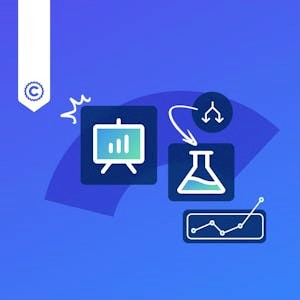 Google Analytics Insights