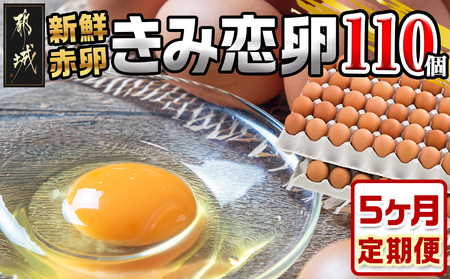 「きみ恋卵」110個定期便(5ヶ月)_T40（5）-2901 _(都城市) 赤卵 きみ恋卵 Ｍサイズ 110個 約6.5kg