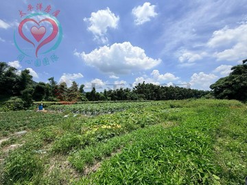 專-大溪中庄平坦樂活農地❤️三鶯專賣阿芳｜桃園市大溪區中庄段