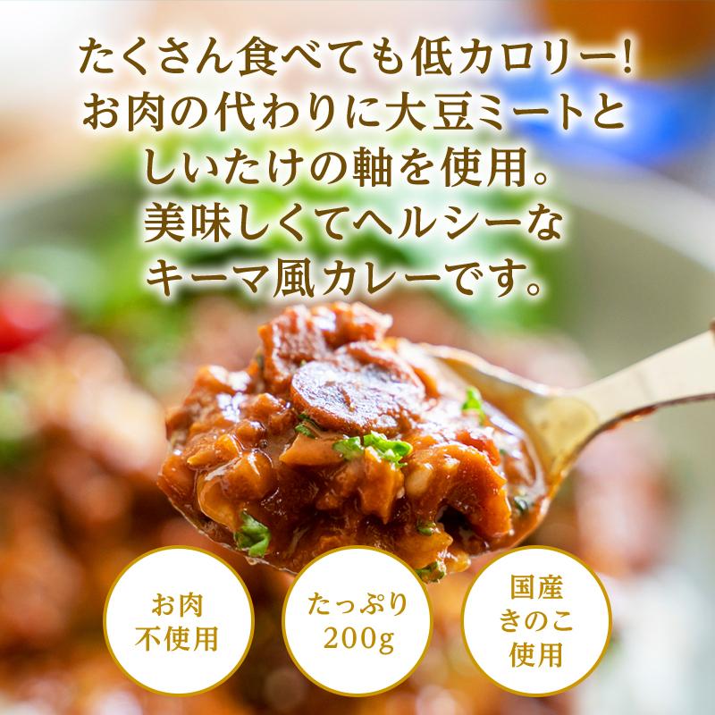 大豆ミートのキーマ風カレー　森のきのこカレー キーマカレー きのこカレー レトルト  代替肉