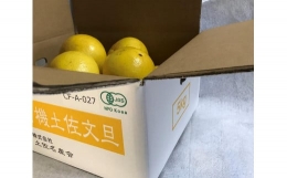 無農薬JAS有機栽培文旦 5kg（家庭用)