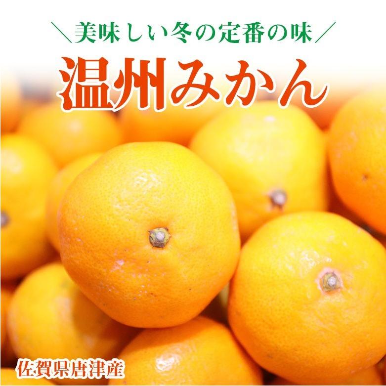 佐賀県産 唐津 唐津みかん 温州みかん S M L 玉 約 2kg 前後 ご家庭用 秀品  訳あり