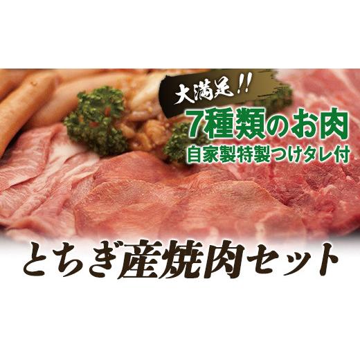 ふるさと納税 栃木県 栃木市 とちぎ産焼肉セット