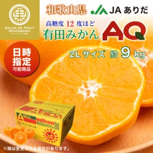 [予約 2023年 12月31日必着] 有田みかん AQみかん 約9kg 2Lサイズ 和歌山県有田産 JAありだ 高糖度 有田AQ選果場 産地箱 冬ギフト お歳暮