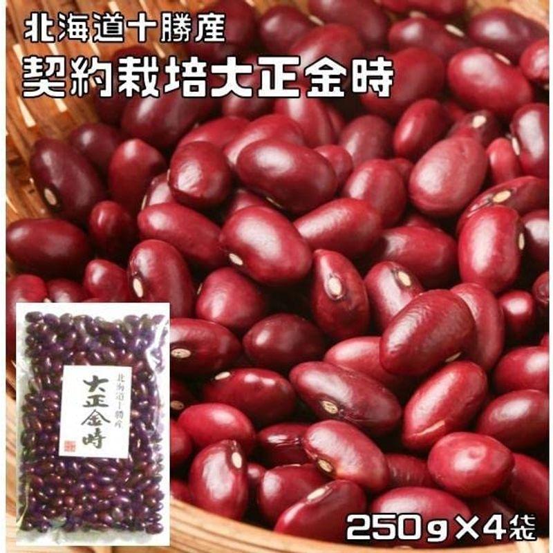 豆力 契約栽培十勝産 大正金時 1kg