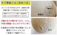 クラウンメロン 訳あり6玉