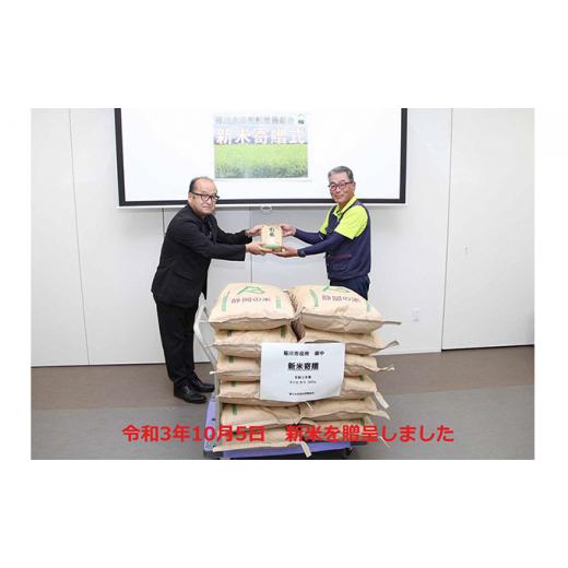 ふるさと納税 静岡県 菊川市 静岡コシヒカリ 玄米 10kg　菊川市産