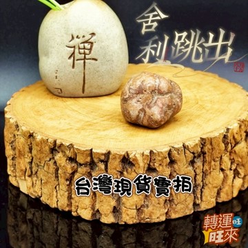 【台灣現貨】天然 龍宮 舍利 核心跳出礦 25-30mm 精品 原礦 轉運 開運 招財 招 好運 人緣 淨化 礦石 靈招