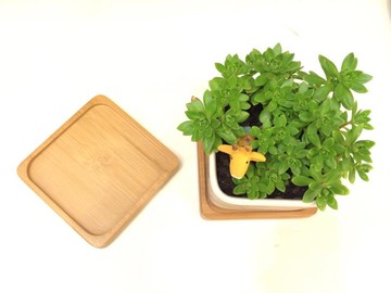 竹製杯墊底座 防水