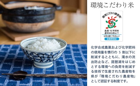 米 定期便 3ヶ月 近江米 みずかがみ 10kg 令和5年 よしだのよいお米 お米 こめ コメ おこめ 白米 3回 お楽しみ