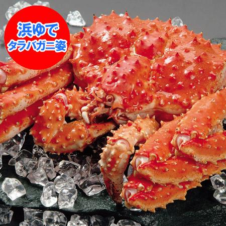 タラバガニ 姿 送料無料 タラバガニ姿 ボイル タラバガニ 茹で たらばがに 1尾 3.3kg たらばガニ   タラバがに   たらば蟹 姿 魚介類 海産物 カニ タラバガニ