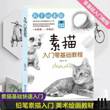 新手畫素描入門零基礎教程跟視頻學素描從零起步學素描入門自學