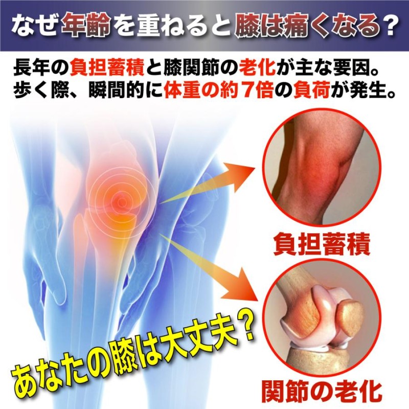 E-Knee 人工知能ひざサポーター「両足」 - スポーツウエア