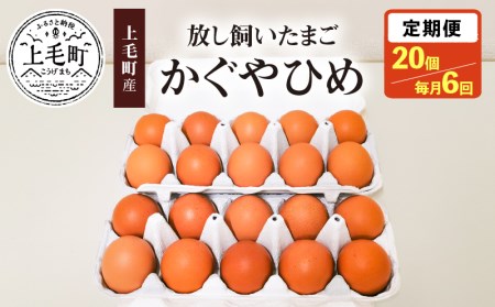 放し飼いたまご『かぐやひめ』20個　6回（毎月）コース　04T-009