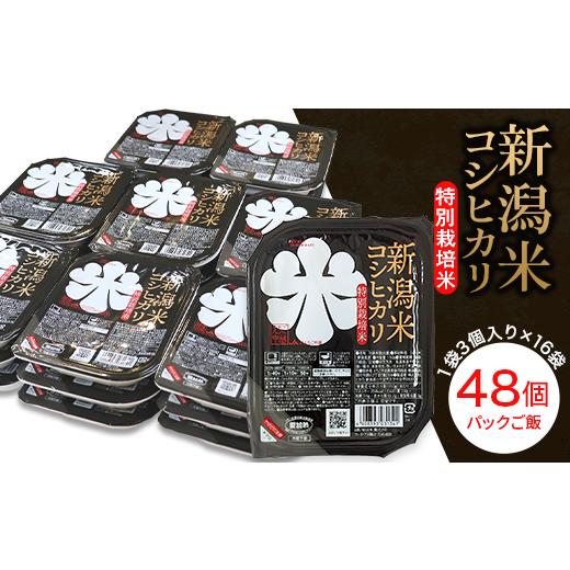 ふるさと納税 新潟県 長岡市 75-PG48新潟県長岡産コシヒカリ パックご飯150g×48個（特別栽培米）