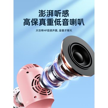 話筒音響一體麥克風家用手機無線藍牙K歌唱歌兒童ktv全民2023新款