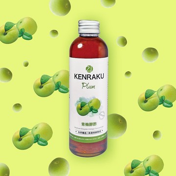 健樂21 青梅酵酢180ml 天然純釀造 長時發酵熟成