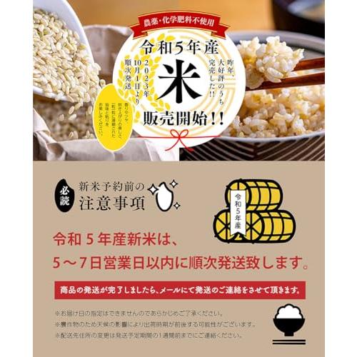 無農薬無肥料栽培米（玄米）10キロ