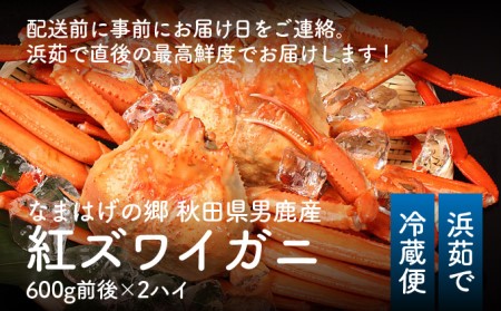 カニ 男鹿沖産 紅ズワイガニ 600g前後×2匹 男鹿なび