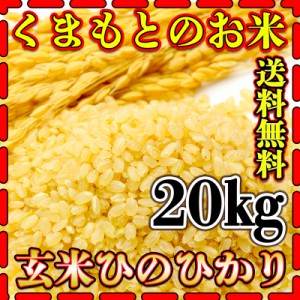 お米 米 20kg 玄米 送料無料 熊本県産 ひのひかり 新米 令和5年産 ヒノヒカリ あす着 5kg4個 くまもとのお米 富田商店 とみた商店