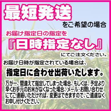 米 新米 令和5年 無洗米 米 お米 2kg 送料無料 米 令和5年産 ひとめぼれ 岩手県産 ご飯