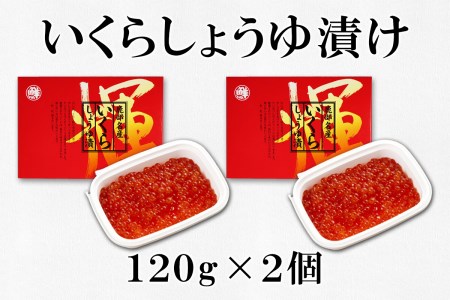 北海道産いくら 240g（120g×2パック）しょうゆ漬け 丸鮮道場水産 小分け 食べきり 食べ切り 秋鮭 いくら 道産 いくら 小分け 醤油漬 いくら 国産 いくら しょうゆ漬け  北海道 鮮度抜群 いくら醤油漬け 小分けで便利 北海道産 いくら 秘伝 しょうゆ漬け 食べきりパック 小分け 醤油漬け