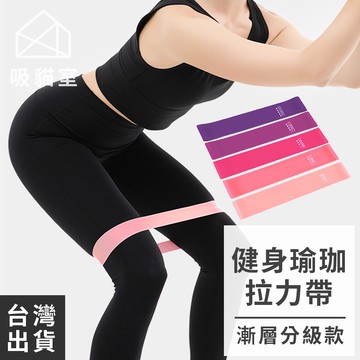 【吸貓室🖤隔日到貨】彈力帶 阻力帶 拉力帶 彈力繩 彈力圈 拉力圈 拉力繩 阻力繩 懶人健肌器 健身 瑜珈圈 居家健身