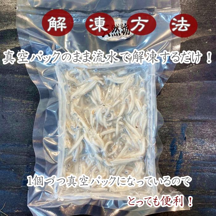 (送料無料) 生しらす (ちりめん) 冷凍１.２kg（１００g×１２袋） (愛知県産)