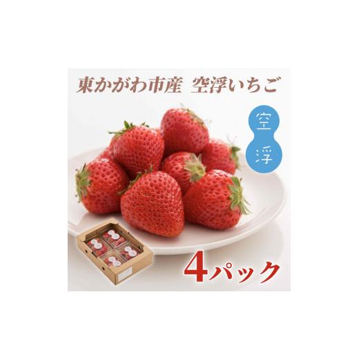 ふるさと納税 香川県 東かがわ市 [No.4631-1830]空浮いちご 4パック「北海道・沖縄・離島へのお届け不可」