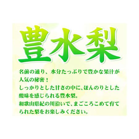 ふるさと納税 和歌山紀の川市産 の豊水梨 約4kg （約9玉〜13玉）紀の川市厳選館 《2024年8月中旬-9月上旬頃よ.. 和歌山県紀の川市