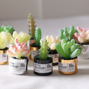 小廢物俱樂部 迷你多肉 GSC配件 娃娃屋植物 OB11擺件 微縮手作 金屬盆栽 Dollhouse模型 桌面拍照 小花