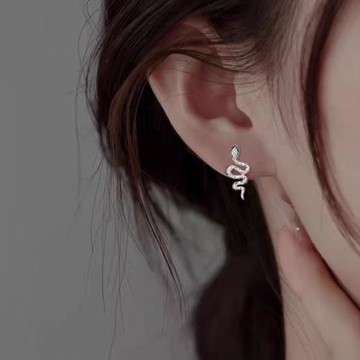 s925純銀本命年靈蛇耳釘女高級感鑲鉆2025新年耳環適合秋冬的耳飾