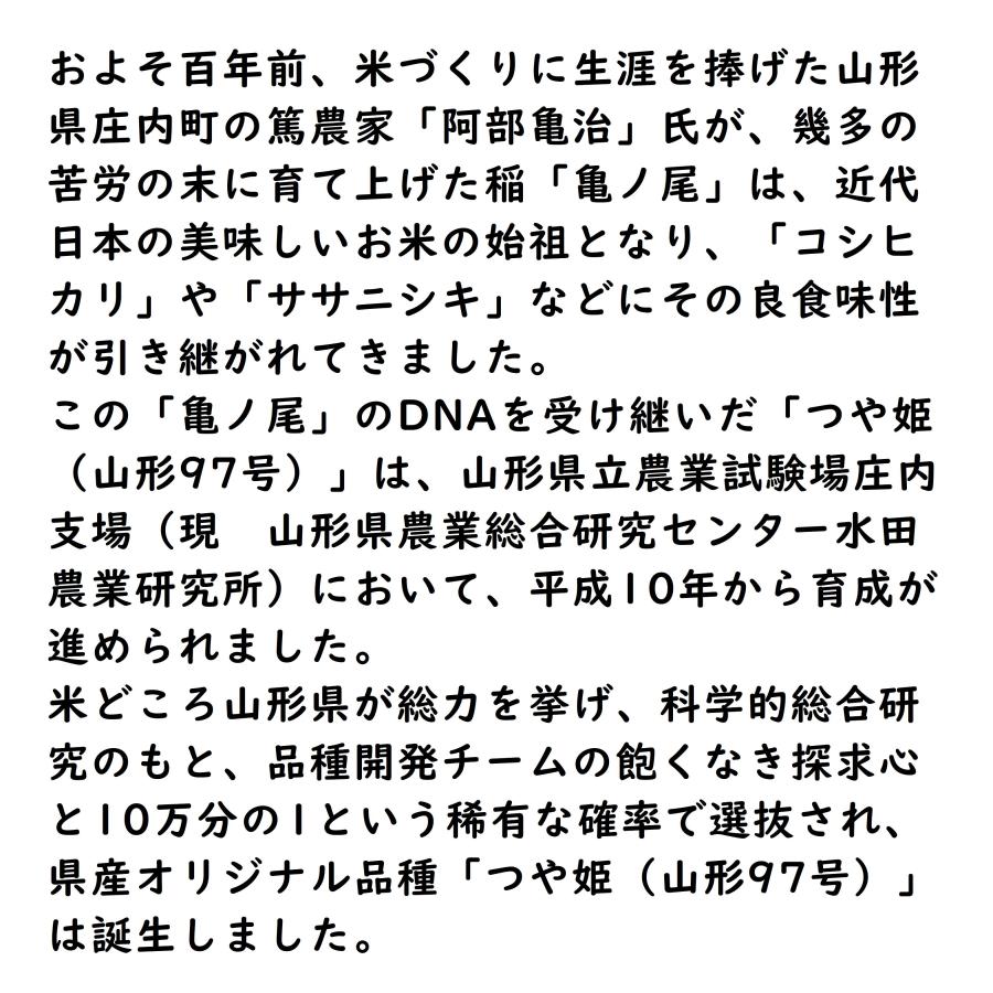 食べ比べ 北海道ゆめぴりか 山形県つや姫 10kg 各5kg 令和5年産 白米