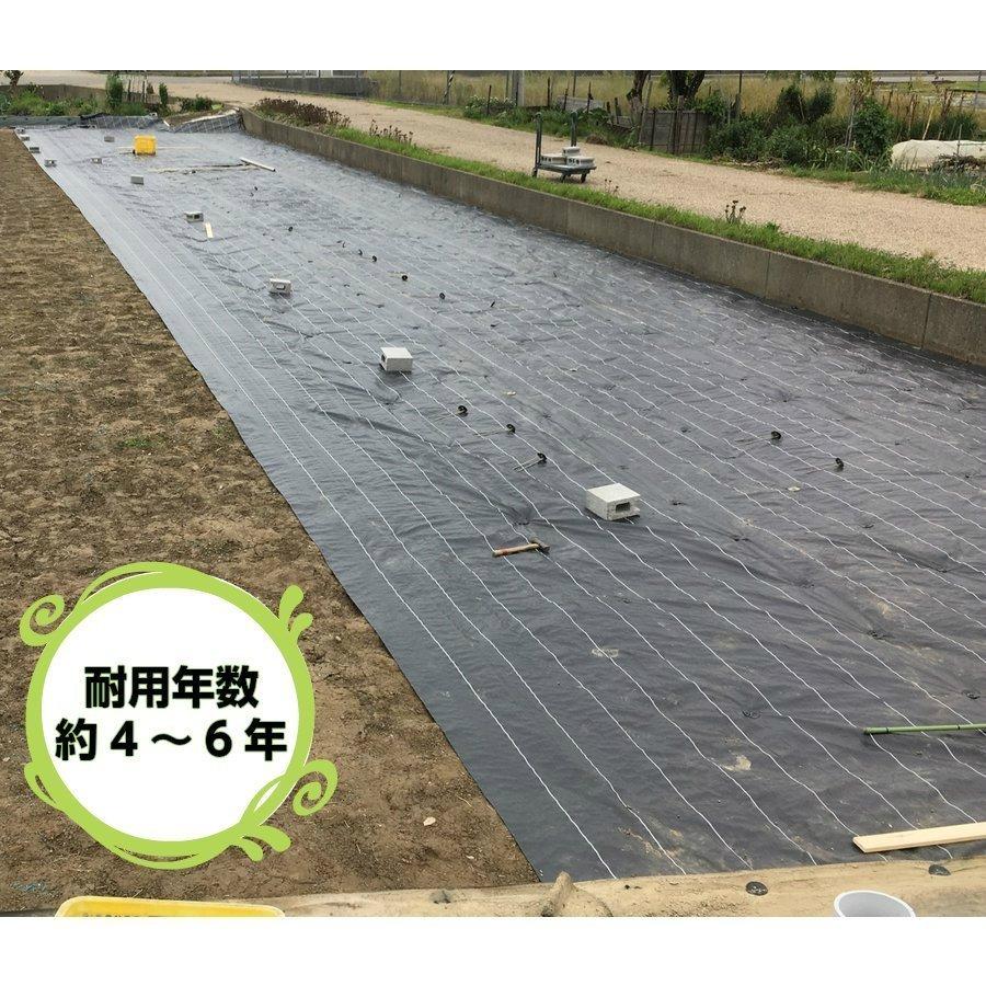 高質防草シート 黒 2ｍ×50ｍ 抗菌剤入り（耐用年数4〜6年）厚さ0.4ｍｍ 法人様送料無料 個人様別途送料